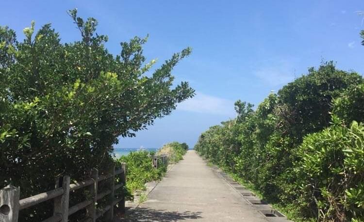 沖縄の道